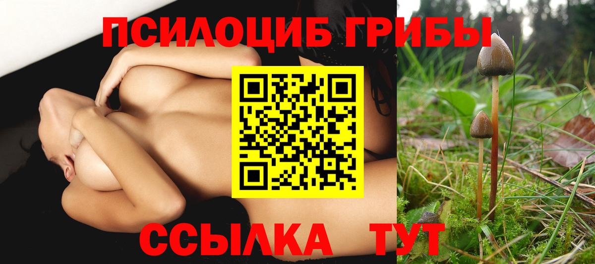 Галлюциногенные грибы ЛСД  Вход с VPN  где купить   Сердобск 