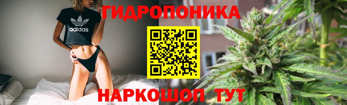 Конопля гибрид  Вход с VPN  Сердобск  Марихуана THC 21%  Каннабис планчик 